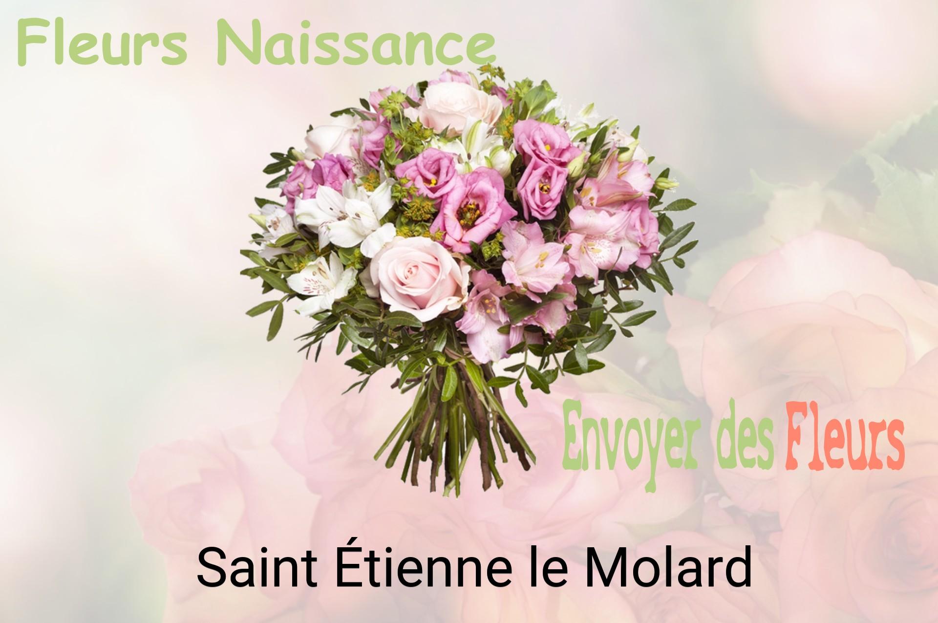Bouquet de fleurs de naissance livré à Saint-Étienne-le-Molard