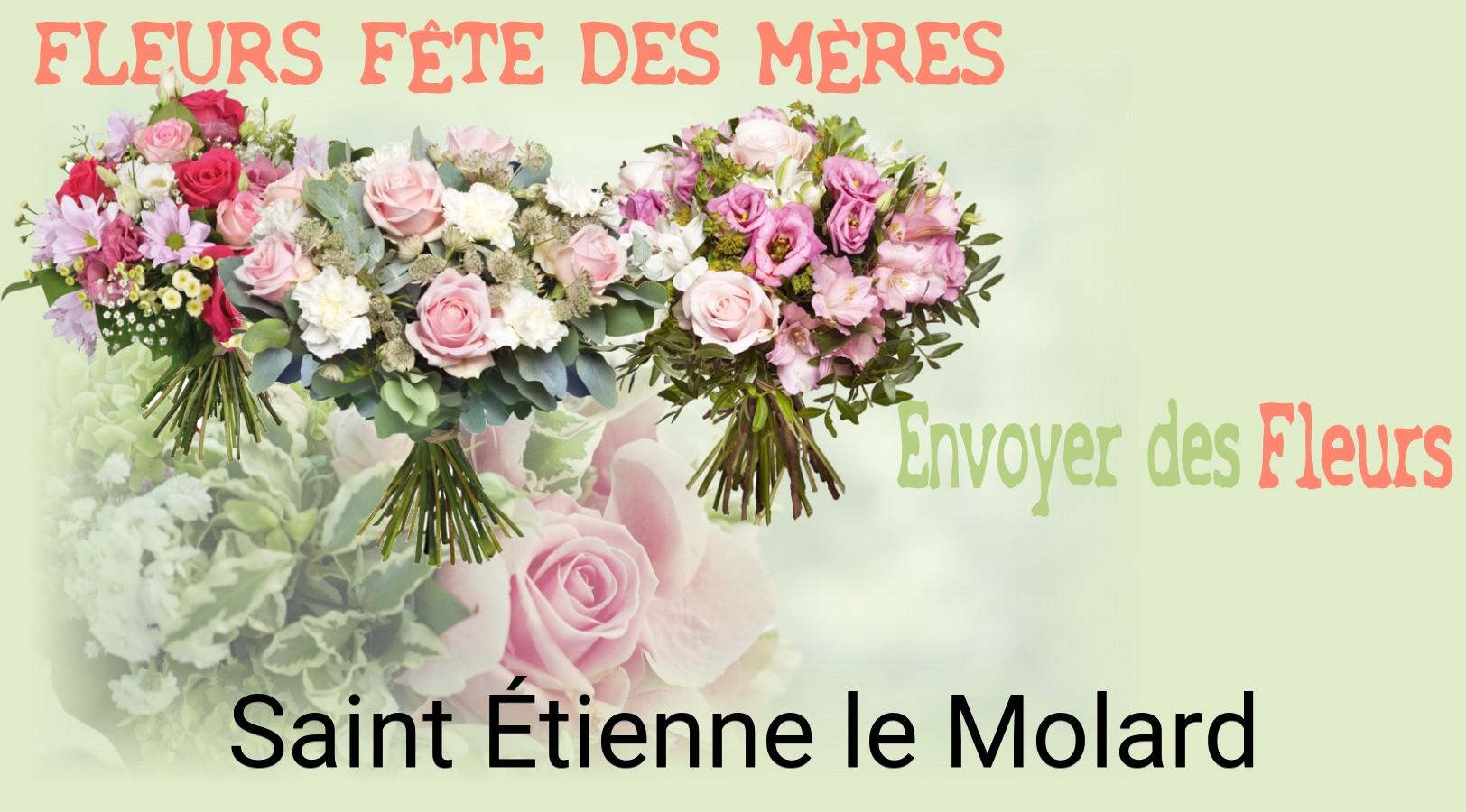 Bouquet de Fête des Mères livré à Saint-Étienne-le-Molard